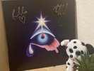 The Avalanches We Will Always Love You 2LP Black Vinyl w/ Signed Vinyl Sleeve