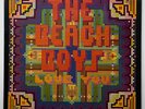NEAR MINT Vtg 1977 THE BEACH BOYS Album LOVE YOU Record 1ST PRESSING Vinyl Lp OG