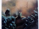 STEELY DAN KATY LIED ABC YQ8026AB Japan VINYL LP