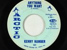 Northern/Deep Soul 45 - Kenny Hamber - Anything You Want - Arctic