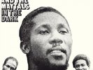 Toots and The Maytals In the Dark (Vinyl) 12