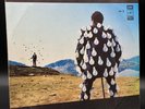 Pink Floyd Delicate Sound of Thunder Vinyl Record