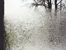 Bon Iver For Emma, Forever Ago Records & LPs New