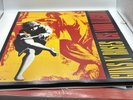 Use Your Illusion I [2 LP] by Guns N' Roses (record 1991)
