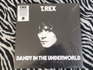 T.REX - DANDY IN THE UNDERWORLD (CLEAR WAX)  (ROCK) LP