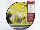 The Doors - Morrison Hotel Picture Disc Edition (Vinyl LP - 1973 - Reissue)