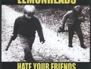 The Lemonheads Hate Your Friends (RSD 2021) (Vinyl)
