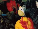 Morphine - Good [New Vinyl LP] Colored Vinyl, Green, Rmst