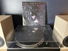 Patti Smith Because The Night 12” UK 1984 Vinyl Record VG+/VG+