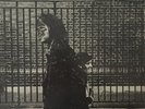 Neil Young - After The Gold Rush 1976 LP, Album, RE, Red Reprise Records RS 6383