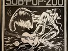 Sub Pop 200 LP Box Set with Bonus Promo Photos + Paper Ephemera Nirvana Mudhoney