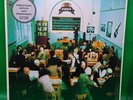 Oasis The Masterplan Coloured Vinyl Sealed 25th Anniversary Double LP