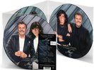 Thomas Anders sings Modern Talking Picture Disc Vinyl ltd. Edition