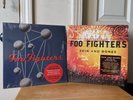 Foo Fighters Vinyl LPs Bundle Of 2 The Colour And The Shape + Skin And Bones