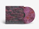NEW Sleep Token Even In Arcadia On Glass of Port Pink Color Vinyl Limited /3000