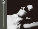 Friction -  = Friction (LP, Album, RE) (Mint (M))