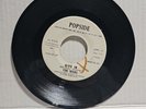 The Webs - Give In/It’s So Hard To Break A Habit (1968) Rare Funk Soul 45rpm VG