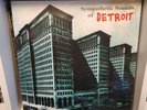 Sympathetic Sounds Of Detroit Vinyl LP Complation Third Man