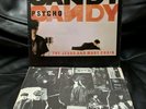 The Jesus and Mary Chain Psychocandy 1985 Germany Vinyl Record 12” Album