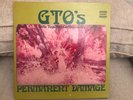 The GTO's Girls Together Outrageously Permanent Damage LP Frank Zappa Str VG+