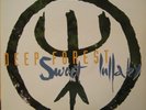 Deep Forest - Sweet Lullaby (12
