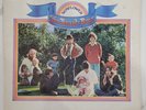 The Beach Boys - Sunflower Vinyl LP - 1970 First Press - Reprise RS 6382