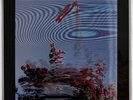 FRIENDLY FIRES - Inflorescent LP 180g Clear Vinyl Lenticular Cover EX