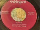 Wild Garage Psych Destroyer 45 White Lightning William / Of Paupers VG+ HEAR