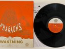 Pharaohs - Awakening 1971 Scarab lp OG RARE Private Jazz Funk Soul NM GRAIL