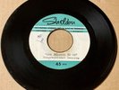 Prince Preston DOOWOP Rockabilly DEMO 45 She Belongs To Me  Keep On Trying  HEAR
