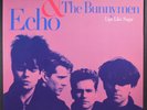 ECHO & THE BUNNYMEN: lips like sugar SIRE 12