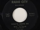 Mr. Clean & Soul Inc. 