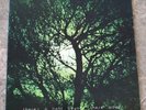 Nanci Griffith There's A Light Beyond 1978 LP Vinyl EX Original & Insert BFD