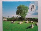 The KLF Chill Out Vinyl LP on KLF Communications JAMSLP5 1990 Original Release