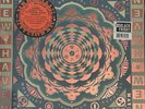 The Grateful Dead New Haven 5/5/1977 4 180g LP Box RSD 2024 #ed/6K Like New MINT