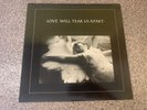 Joy Division Love Will Tear Us Apart Stunning EX + Vinyl Original UK 12