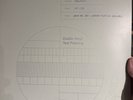 Lana Del Rey Norman F**cking Rockwell 2LP White Label Test Pressing Mint