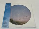 Modest Mouse – The Lonesome Crowded West Vinyl  LP picture disc  Sealed New