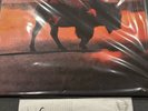 ROBERT PLANT signed SAVING GRACE Album RECORD LP Fruit Punch Zeppelin AUTOGRAPH