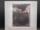 Vinyl Record Surfer Rosa By Pixies