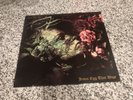 Danielle Dax   Jesus Egg That Wept Vinyl LP (Awesome Records-AOR 1) UK-1984