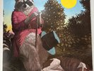 J.J. Cale Lp Naturally On Shelter - Vg/Vg+