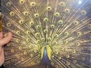 Which Side Are You On? by Ani Difranco (Record, 2012) black vinyl