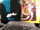 Siouxsie and the Banshees  Dazzle  Swimming Horses