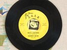 Sherwin Linton 45 White Lightning 1964 Minnesota Rockabilly VG+