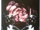 Death In June - Rose Clouds Of Holocaust (LP) (Mint (M)) - 3949158037