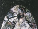 FRIENDLY FIRES - Friendly Fires (15th Anniversary Edition) - Vinyl (LP)