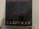 Siouxsie and the Banshees - Candyman 12