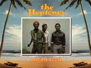 The Heptones - Night Food (LP) (Near Mint (NM or M-)) - 3950323339