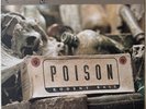 The Prodigy Poison 1995 OG Vinyl 12